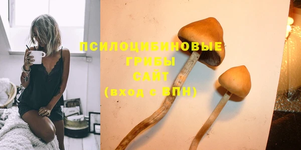 твердый Медногорск