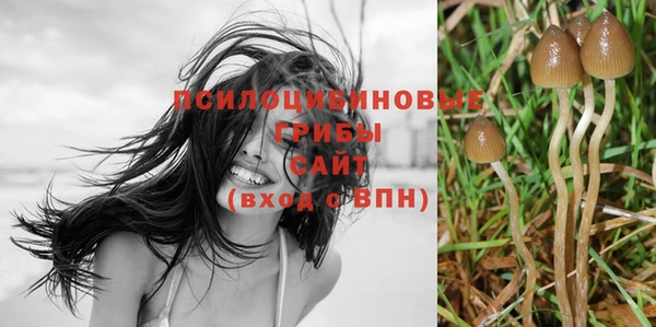 сатива Медвежьегорск