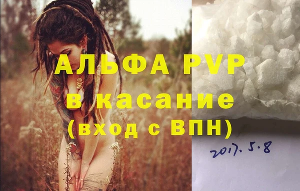 сатива Медвежьегорск
