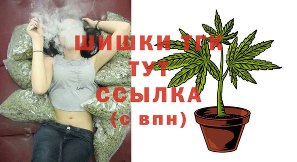 сатива Медвежьегорск