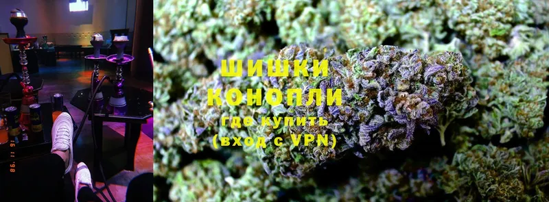 Бошки марихуана OG Kush  как найти закладки  маркетплейс состав  Белая Холуница 